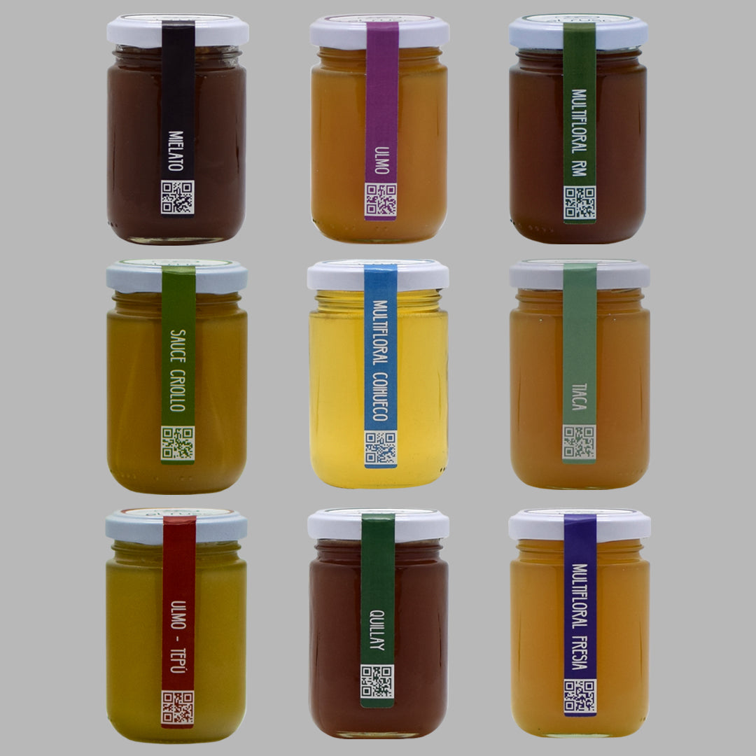 DEGUSTACION 9 mieles chilenas 200g -25% !!