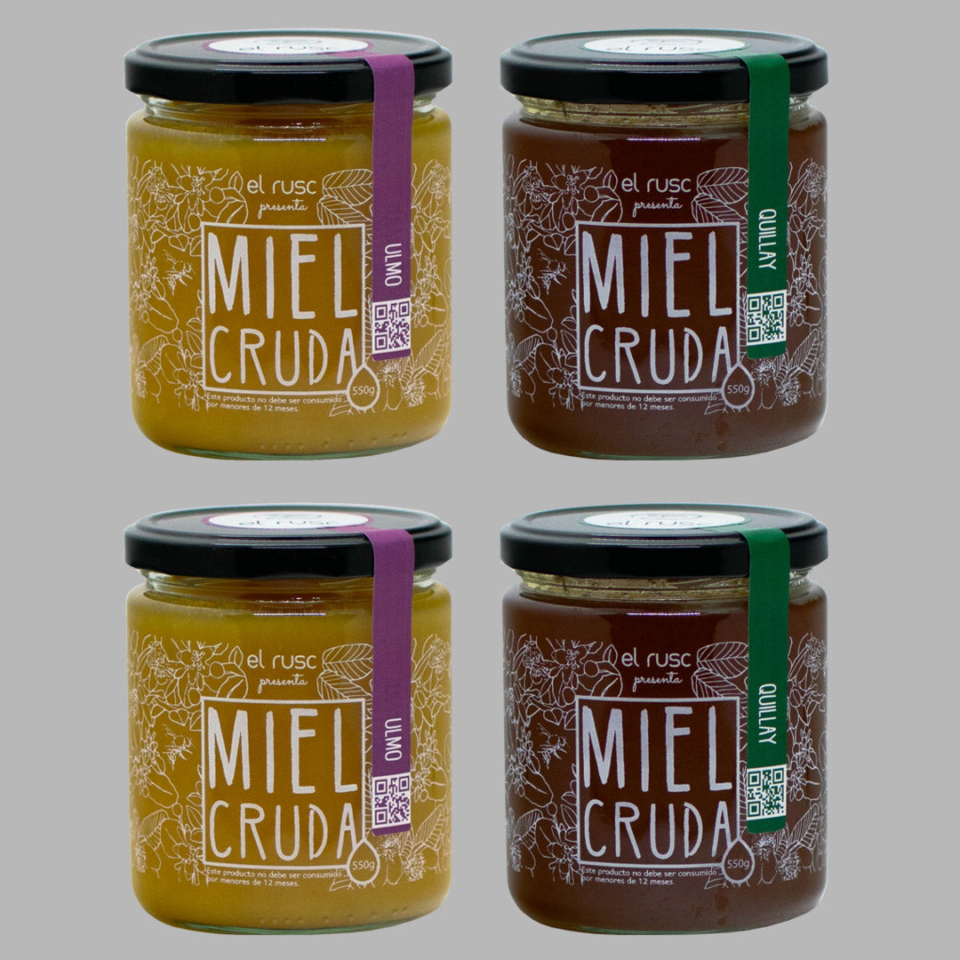 PACK 550g x4 - Miel Quillay x2 + Miel Ulmo x2