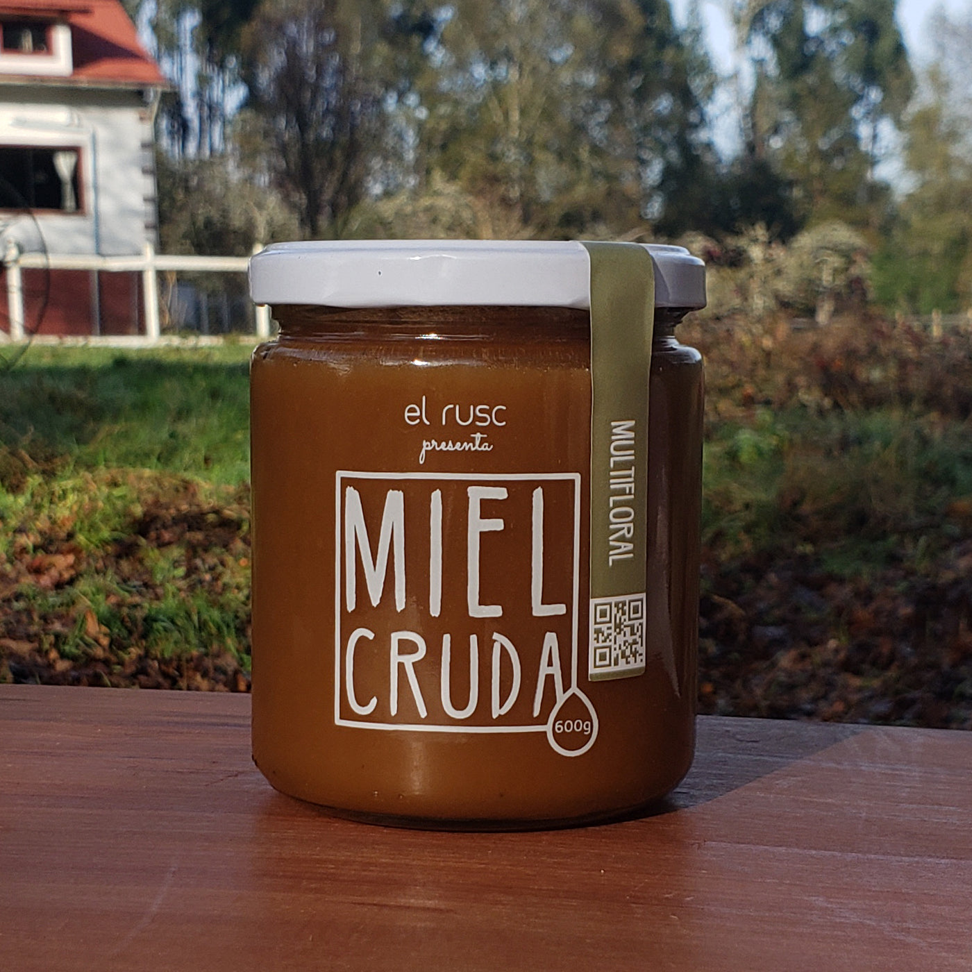 Miel multifloral 550g - origen RM